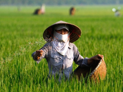 Những[-]hệ[-]lụy[-]do[-]sử[-]dụng[-]phân[-]bón[-]tràn[-]lan[-]trong[-]sản[-]xuất[-]nông[-]nghiệp